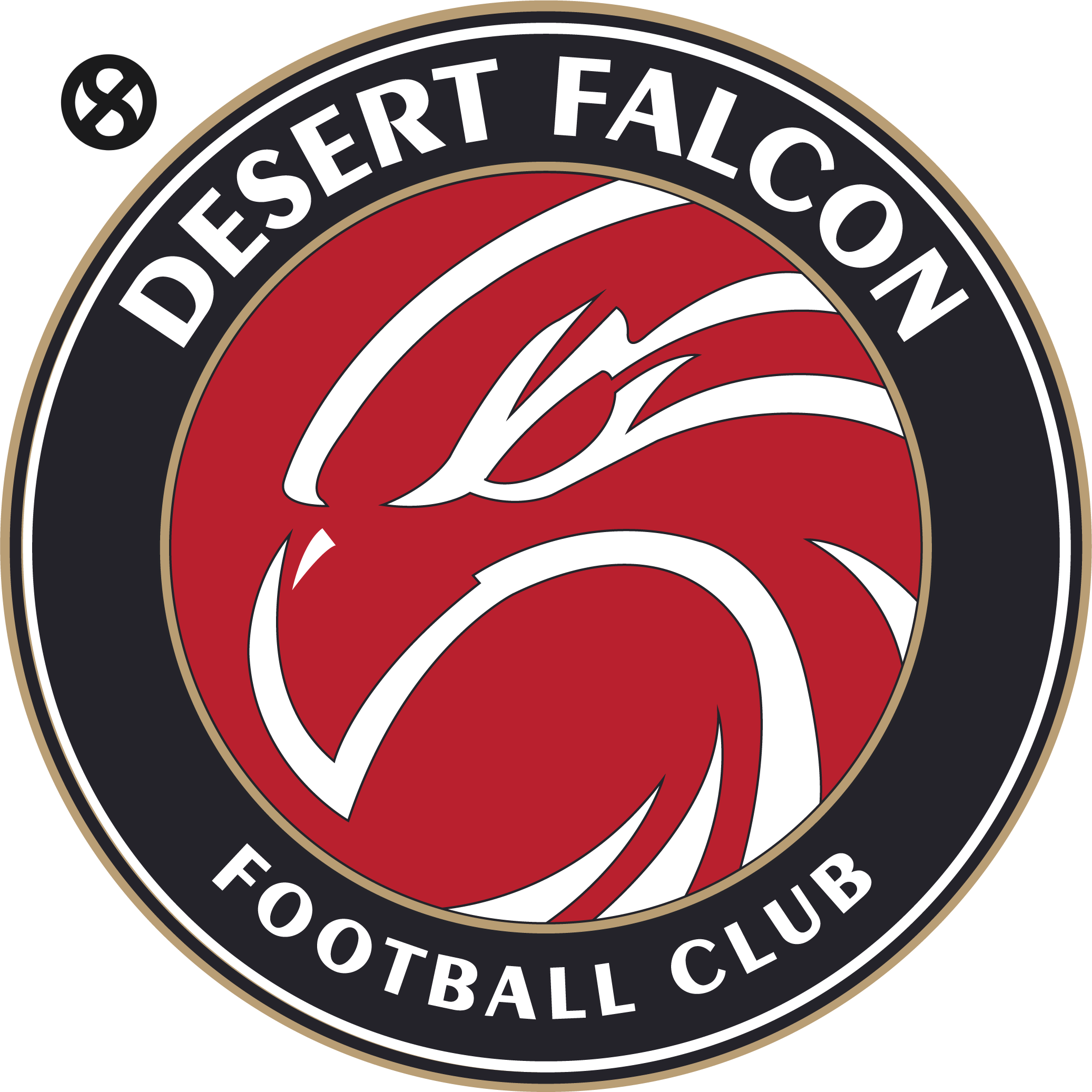 Desert Falcon FC Black